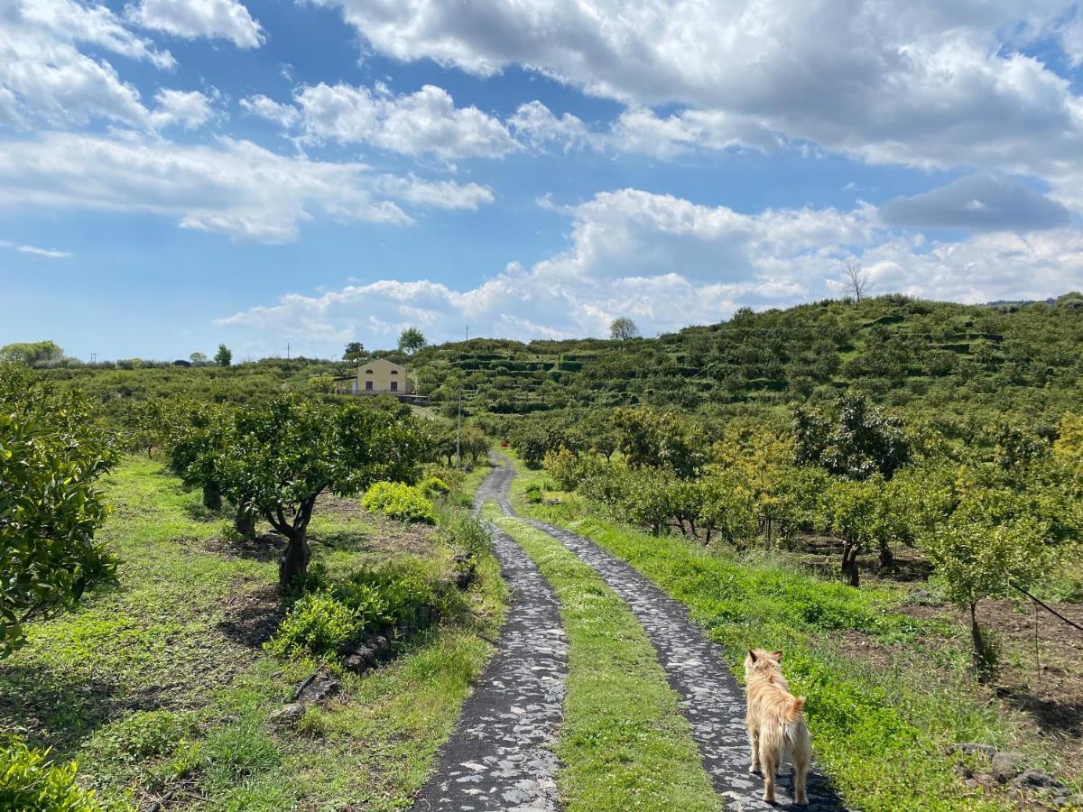 Agriturismo Le Case Di Civi Mascali Exteriér fotografie
