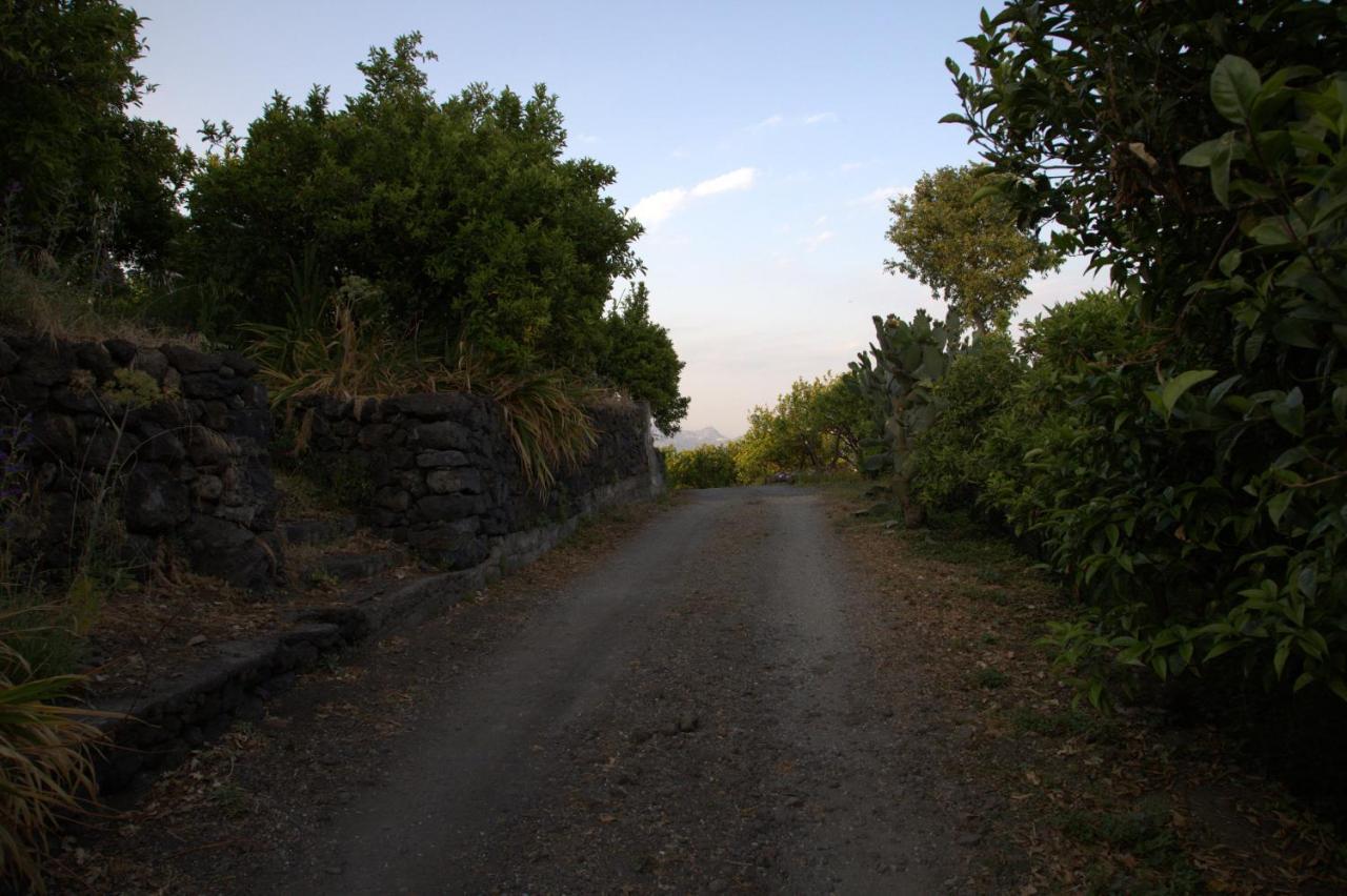 Agriturismo Le Case Di Civi Mascali Exteriér fotografie